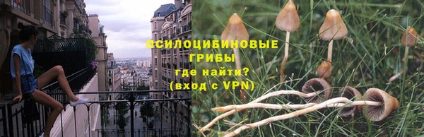хмурый Куйбышев