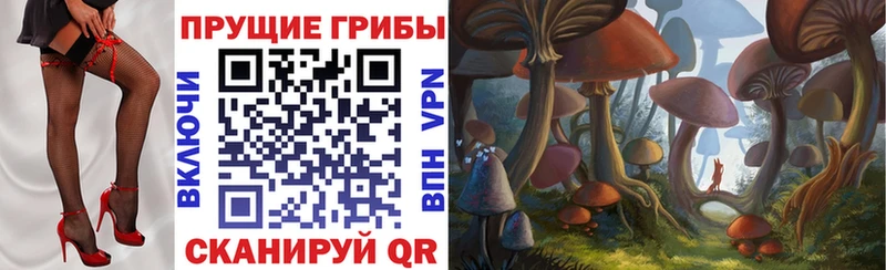 KRAKEN ссылка  где можно купить наркотик  Киржач  Псилоцибиновые грибы Psilocybine cubensis 